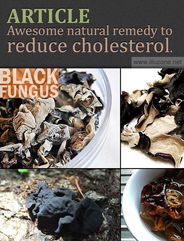 ARTICLE | Awesome natural remedy to reduce cholesterol.