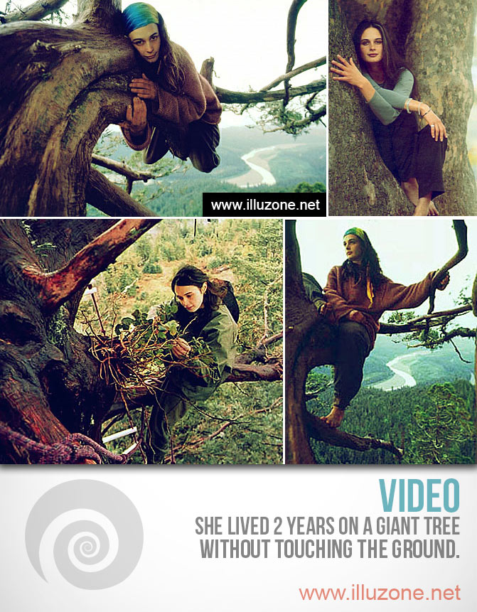 VIDEO | Adventures In Treesitting | Can’t believe she lived 2 years on a giant tree without touching the ground.