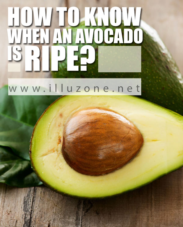 ARTICLE & VISUAL | How to know when  an Avocado is ripe?