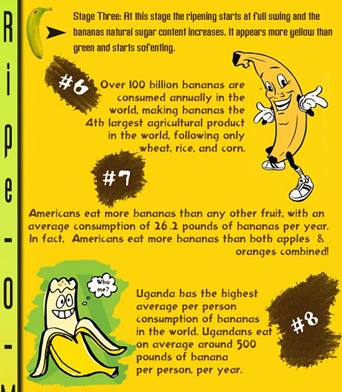 presentation about banana