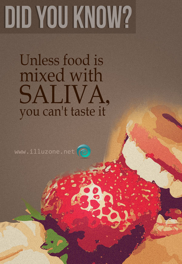 DID YOU KNOW | Saliva fact