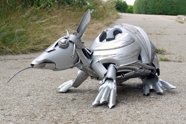 Discarded Hubcaps armadillo