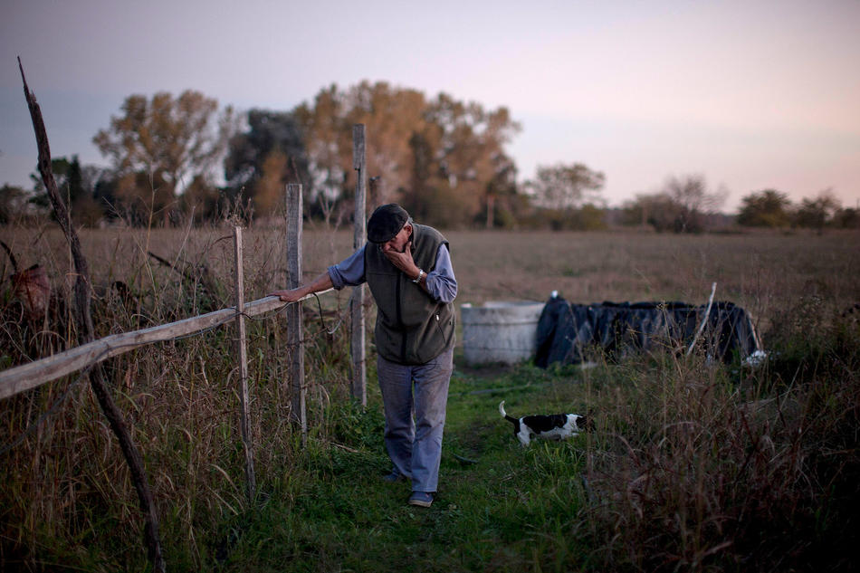 In this April 16, 2013, photo, Felix San Roman walks on his property in Rawson, in Buenos Aires province, Argentina. San Roman says that when he complained about clouds of chemicals drifting into his yard, the sprayers beat him up, fracturing his spine and knocking out his teeth. “This is a small town where nobody confronts anyone, and the authorities look the other way,” San Roman said. “All I want is for them to follow the existing law, which says you can’t do this within 1,500 meters. Nobody follows this. How can you control it?” (AP Photo/Natacha Pisarenko)
