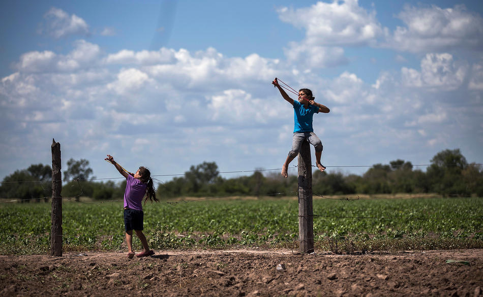 In this May 31, 2013 photo, girls use slingshots next to a biotech soybean plantation in Avia Terai, in Chaco province, Argentina. The country’s entire soybean crop and nearly all its corn and cotton have become genetically modified in the 17 years since St. Louis-based Monsanto Company promised huge yields with fewer pesticides using its patented seeds and chemicals. Instead, the agriculture ministry says agrochemical spraying has increased ninefold, from 9 million gallons in 1990 to 84 million gallons today. (AP Photo/Natacha Pisarenko)