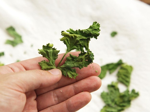 seriouseats.com You’re never going to use all of that parsley before it starts it wilt. To preserve its color and flavor, place the herbs between two paper towels and microwave it for a minute or so. Get more info here.