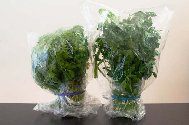 thekitchn.com Use this trick on cilantro and parsley, and they’ll stay crisp for a week or longer.