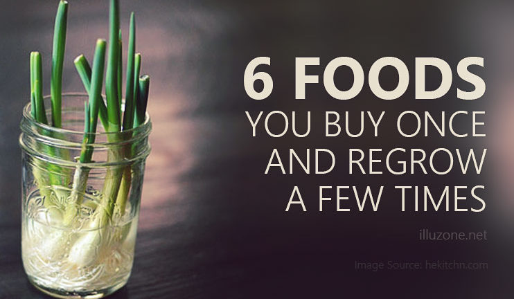 6 Foods You Buy Once And Regrow A Few Times – How to regrow vegetables