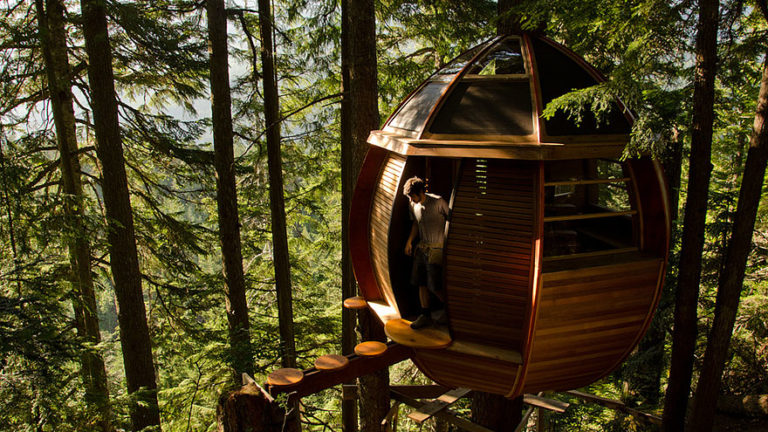 Most beautiful tree houses
