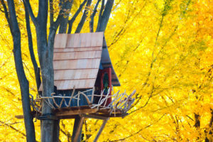 most beautiful tree houses