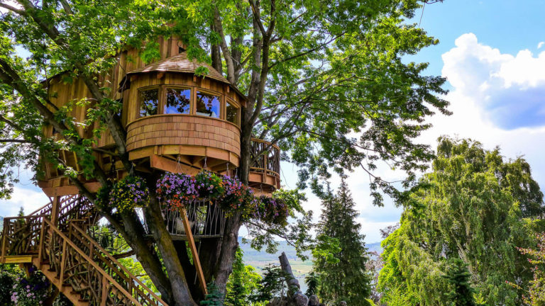 These Tree Houses Are So Beautiful That You Would Want To Move In