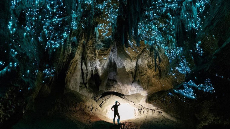 The Waitomo Glowworm Caves – An Out Of This World Light Show Experience!