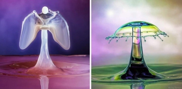 Norwegian Photographer Makes Droplets Of Liquid Look Like Blown Glass Sculptures