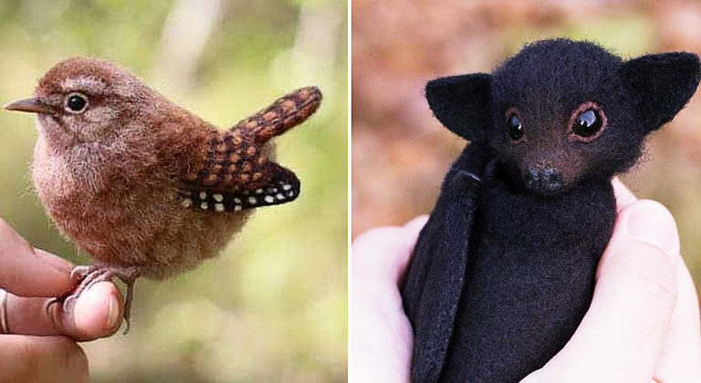 Talented Artist Crafts Unbelievably Realistic Animals Out Of Wool Through Needle Felting