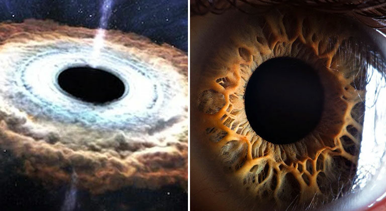 Capturing Light: How the Human Eye and Black Holes Are Alike