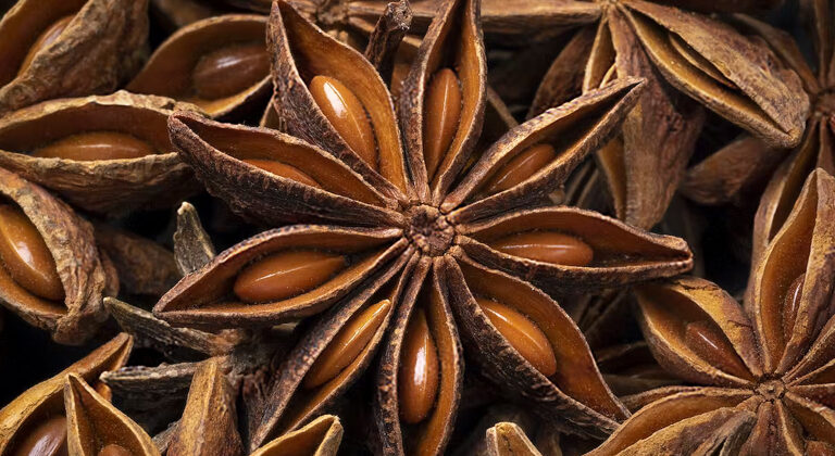 Anise Seeds: The Little Powerhouses with Big Benefits