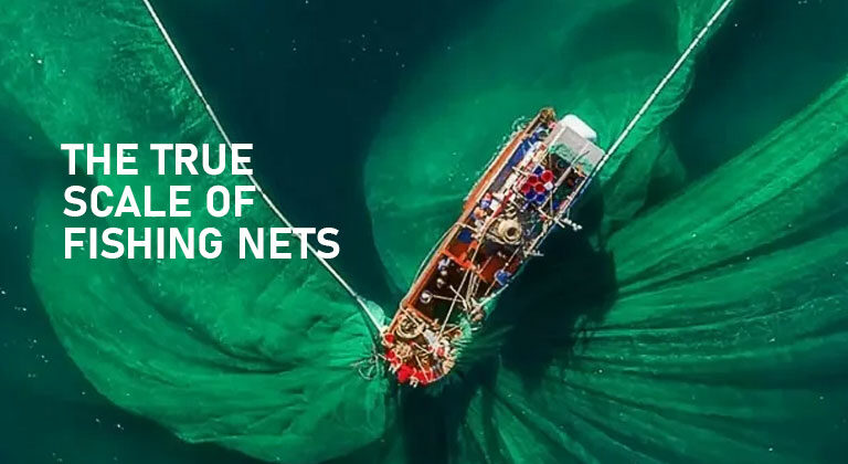 Silent Killers of the Sea: Fishing Nets and the Devastating Impact on Our Oceans